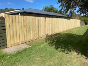 Read more about the article Paling Fence.